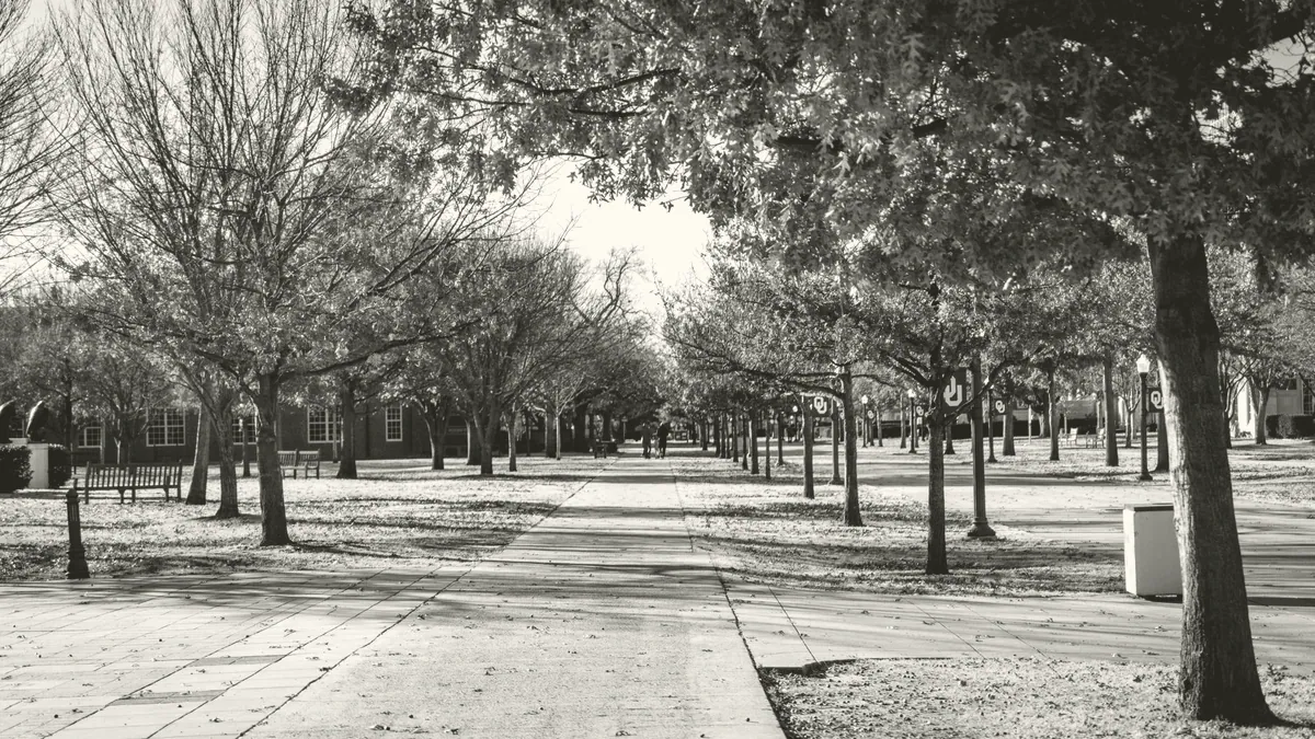 A bench on a campus path.