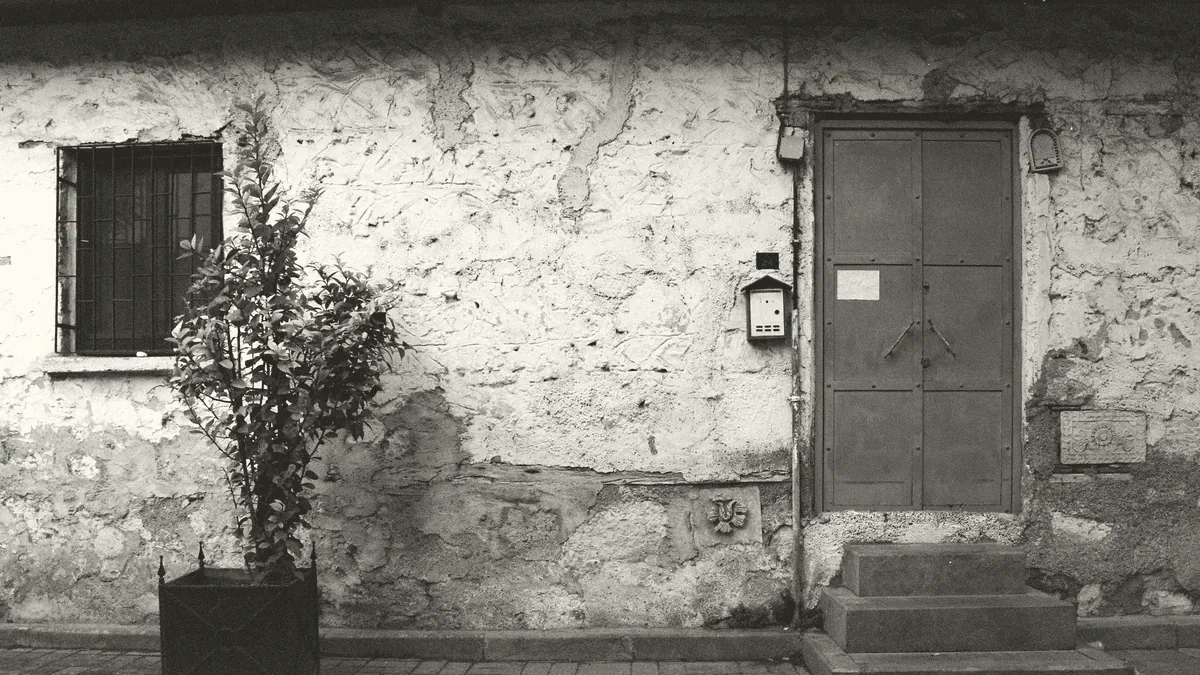 A front doorstep with a plant beside it.